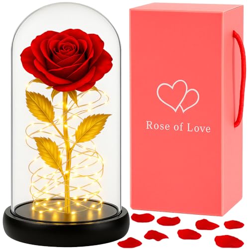 Retoo Ewige Rose im Glas mit LED Licht, Gefriergetrocknete Rosen als Geschenk für Frauen, Rote Konserviert Blume Schöne und das Biest Figur, Infinity Blume mit Glitzer, Geschenkbox für Geburtstag Vale