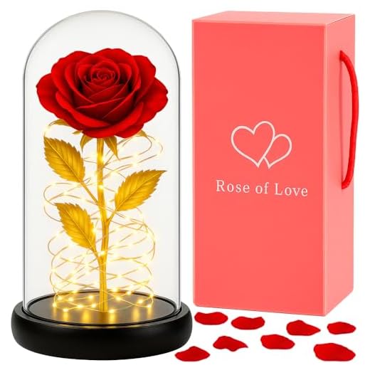 Retoo Ewige Rose im Glas mit LED Licht, Gefriergetrocknete Rosen als Geschenk für Frauen, Rote Konserviert Blume Schöne und das Biest Figur, Infinity Blume mit Glitzer, Geschenkbox für Geburtstag Vale