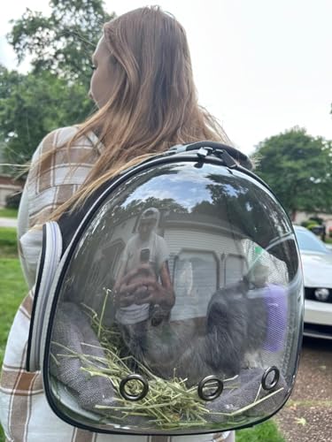 guinea pig backpack space capsule bubble window small animal backpack for guinea pig bird bunny rabbit