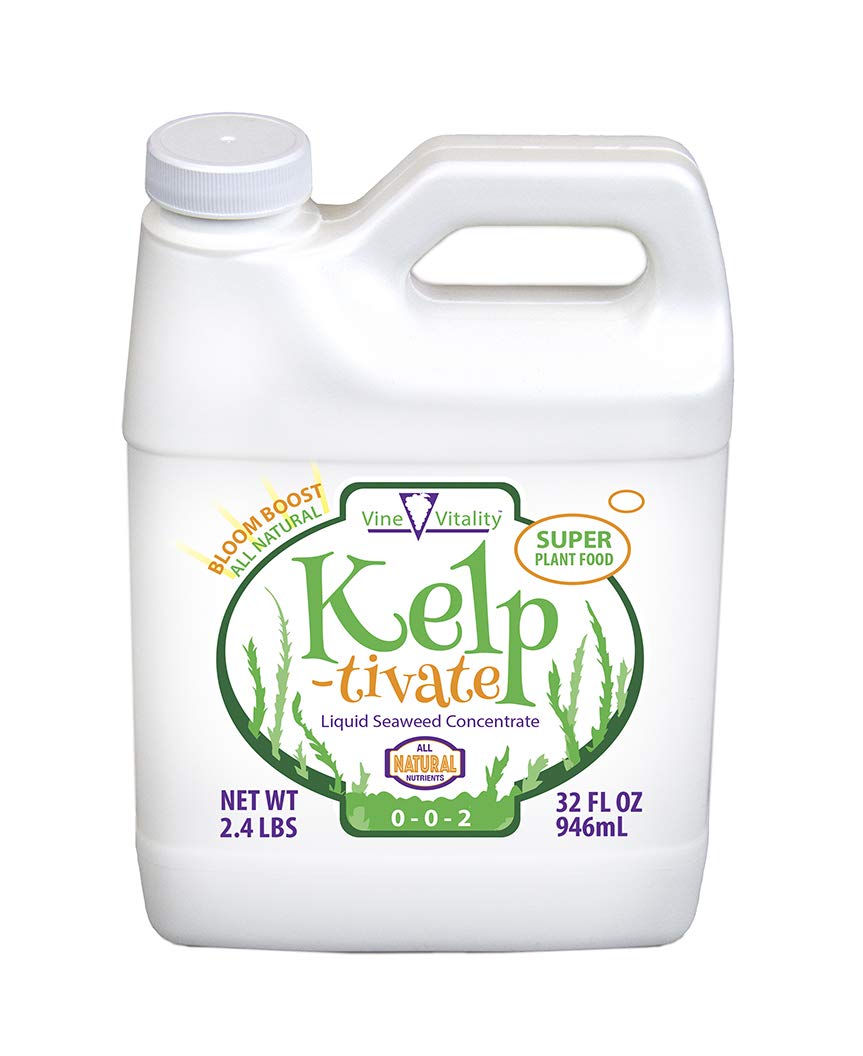 Liquid Seaweed Concentrate, super plant food, 32oz. (Quart)