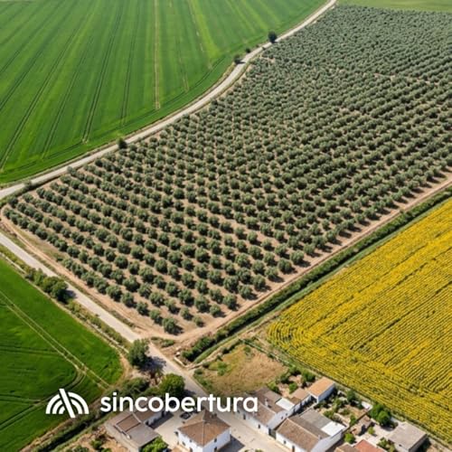 Rotación de cultivos para no perder la PAC Podcast By  cover art