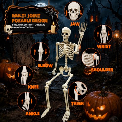 Image of NLShan Life Size Skeleton for Halloween: 5.4ft Human Anatomy Skeleton