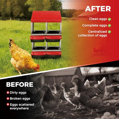 Chicken Nesting Box, 4 Compartment Roll Away Design for High-Volume Egg Collection and Easy Wall Mounting with Metal Legs by MegaChoice - Used condition - Image 5