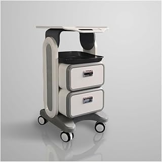 Single/Double Tier Available Medical Trolley Removable Tool Tray Beauty Trolley with 4 Silent Wheels Rolling Trolley with Drop-Proof Perimeter Edge 36.5x44cm Table Top 60kg Load Capacity (Size : Doub