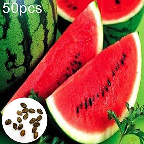 Verlike 50Pcs Watermelon Seeds Sweet Summer Juicy Fruit Garden Yard Farm Field Plant, Seeds for Plainting, Easy to Grow Flower Plants Seeds Watermelon Seeds