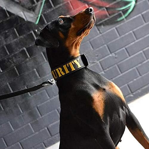 supatuff dog collars