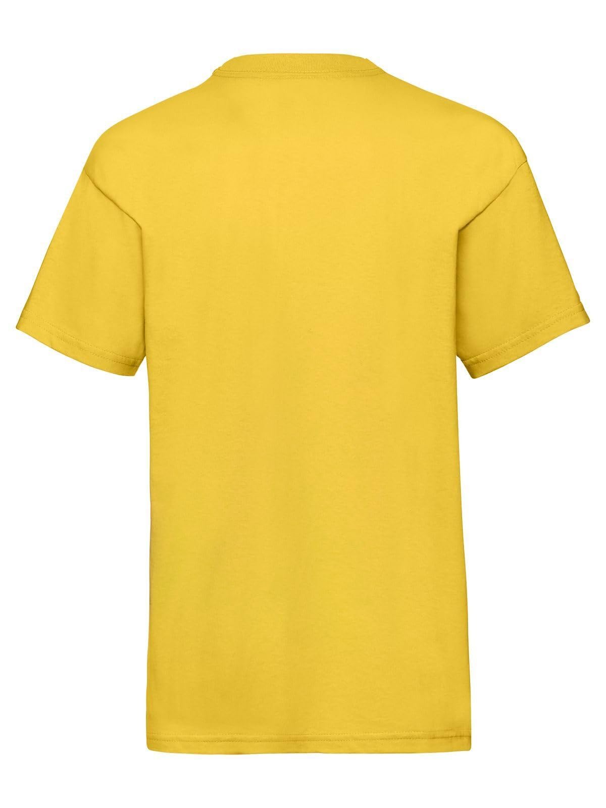Generico T-Shirt Bambino e Bambina Kids Valueweight T – 2 Magliette Unisex Ragazzo e Ragazza Cotone 100% 165 g/m² – Taglie da 1 a 15 Anni – MOD FRU 61-033-0