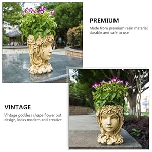 Goddess Face Planters Pots Head Flower Pot, Succulent Pot Cute Resin Planter with Drainage Hole for Indoor Outdoor Plants (A-Maple) Goddess Face Planters Pots Head Flower Pot Succulent Pot Cute Resin Planter with Drainage Hole for Indoor Outdoor Plants A Maple