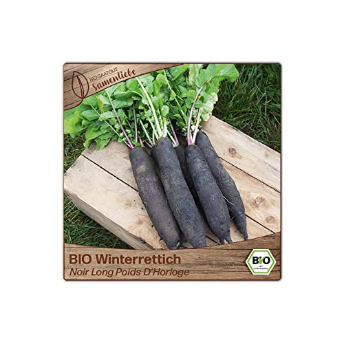 Samenliebe BIO Winterrettich Samen Noir Long Poids D'Horloge würziger Rettich langes Wintergemüse schwarz weiß 100 Samen samenfestes Gemüse Saatgut für Gewächshaus Freiland und Balkon BIO Gemüsesamen - Image 6