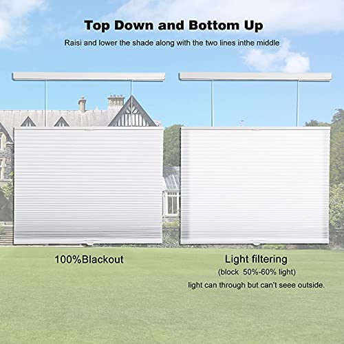 Custom Myshade Cellular Window Shades, Light Filtering Top Down Bottom Up Honeycomb Blind Cordless, Thermal Insulated Blinds Pleated Window Shade For Office, Living Room Easy To Install #TOP7