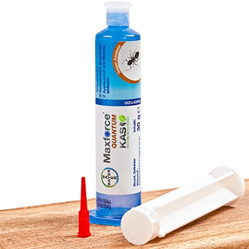 Bayer Maxforce Quantum - Gel de cebo para hormigas, 30 g