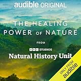 The Healing Power of Nature: Natural soundscapes and why they improve wellbeing