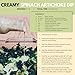 Brick House Creamy Garlic Herb Vinaigrette Dressing & Marinade, 12 oz, Low Sodium, Zero Carb, Dairy Free, Gluten Free, Non-GMO, No Sugar, Keto Friendly Vinaigrette Salad Dressing with Avocado Oil