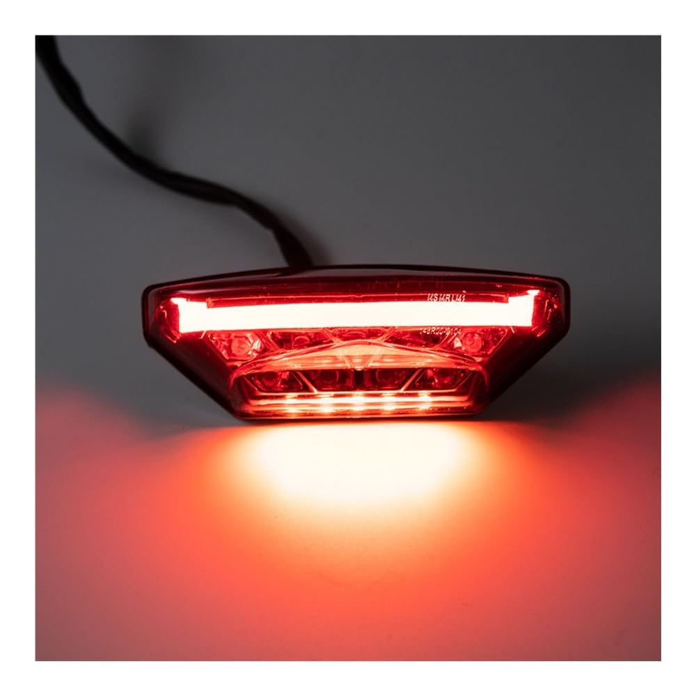 Accessori Per Moto Luci Di Stop E Guida A LED Posteriori Universali Stop Luci Freno