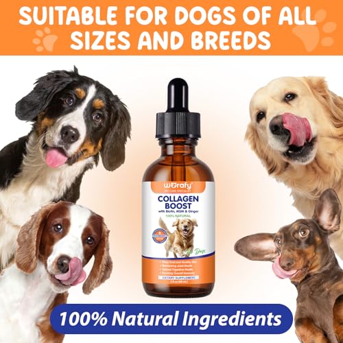 Kollagen Hund 60ml, Liquid Collagen for Dogs, Flüssiges Kollagen für Hunde Gelenke, Haut und Fell, Collagen Hund mit Biotin & MSM, Unterstützen Juckende Haut Relief und die Verdauungsgesundheit