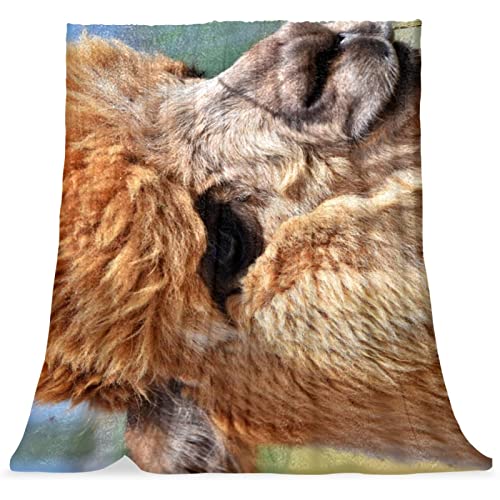 Couverture de lit douillette alpaga marron pour des nuits pleines de tendresse - 2