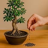 CULTIVERS B09MFPNKHW lato 2