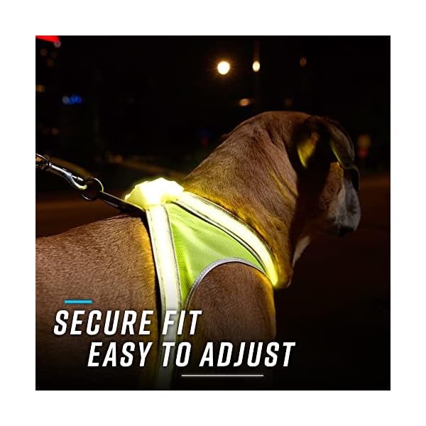 noxgear-LightHound--Revolutionary-Illuminated-and-Reflective-Harness-for-Dogs-Including-Multicolored-LED-Fiber-Optics-USB-Rechargeable-Adjustable-Lightweight-Rainproof USB Rechargeable Harness for Dogs