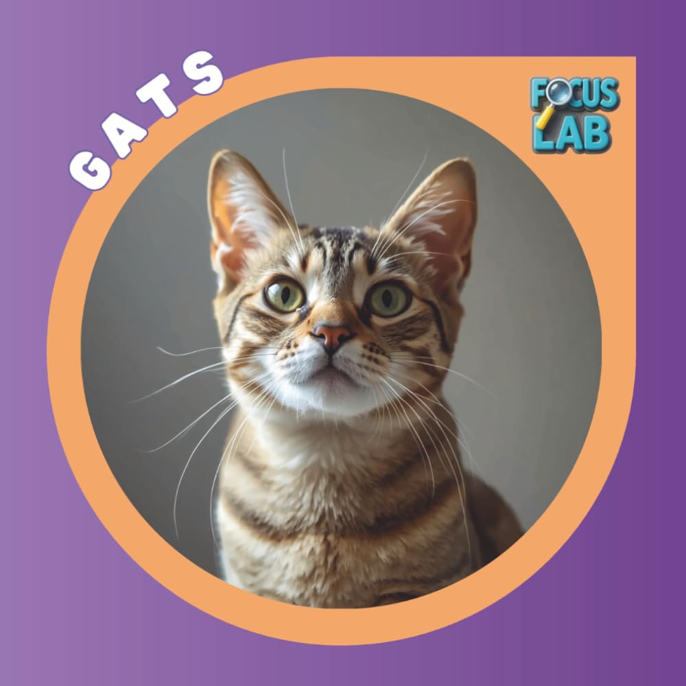 Gats: Races, cura i adopció per a infants, guia il·lustrada en català (Focus Lab Col·lecció A: Animals)