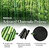 SHILLS-Charcoal-Mask-for-Men-Purifying-Peel-Off-Mask-Black-Mask-Peel-Off-Black-Mask-Deep-Clean-Pore-Blackhead-Remover-1-Bottle-169-fl-oz-and-a-Brush-Set SHILLS Charcoal Mask for Men, Purifying Peel Off Mask, Face Mask Peel Off, Face Mask Deep Clean Pore, Blackhead Remover, 1 Bottle (1.69 fl. oz) and a Brush Set