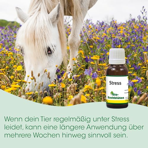 Bio-Bachblüten Stress 20ml für Tiere | Natürliches Ergänzungsfuttermittel ohne Alkohol