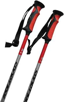 51bmzoQrOjL._AC_UF350,