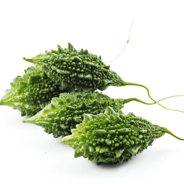 VibeX BITTER GOURD - SMALL SEEDS-100 Seeds (B0BBG2GRTS) Amazon Price History, Amazon Price Tracker