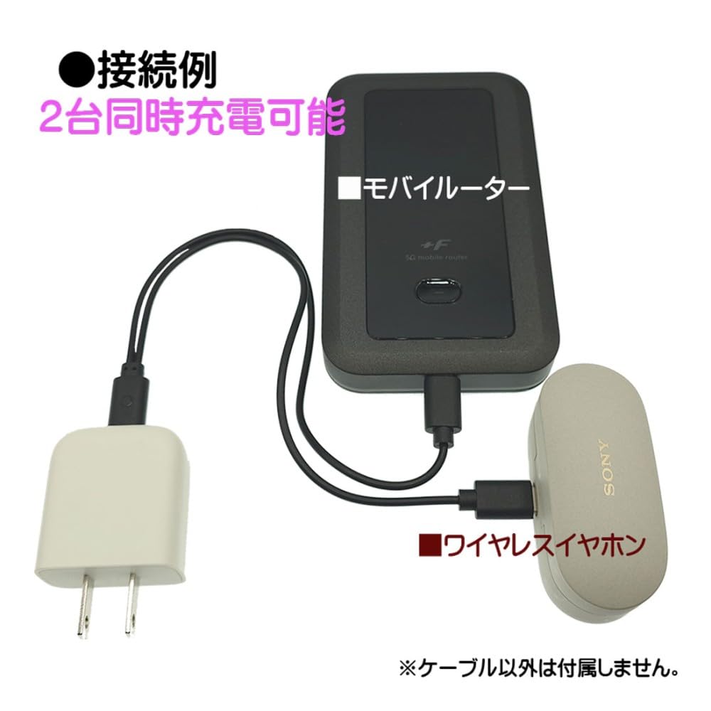 Amazon.co.jp: 充電専用 2台同時充電ケーブル Type-C - Type-C2
