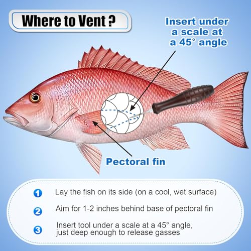 Image of Feekoon Fish Venting Tool, Venting Kit for Deep Sea Fishes with Stainless Steel Needle, Fishing Tackle for Saltwater Fishing Fish Release and Return (Patented)
