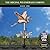 Good Directions 8805PR Blue Heron Cottage Weathervane, Polished Copper with Roof Mount