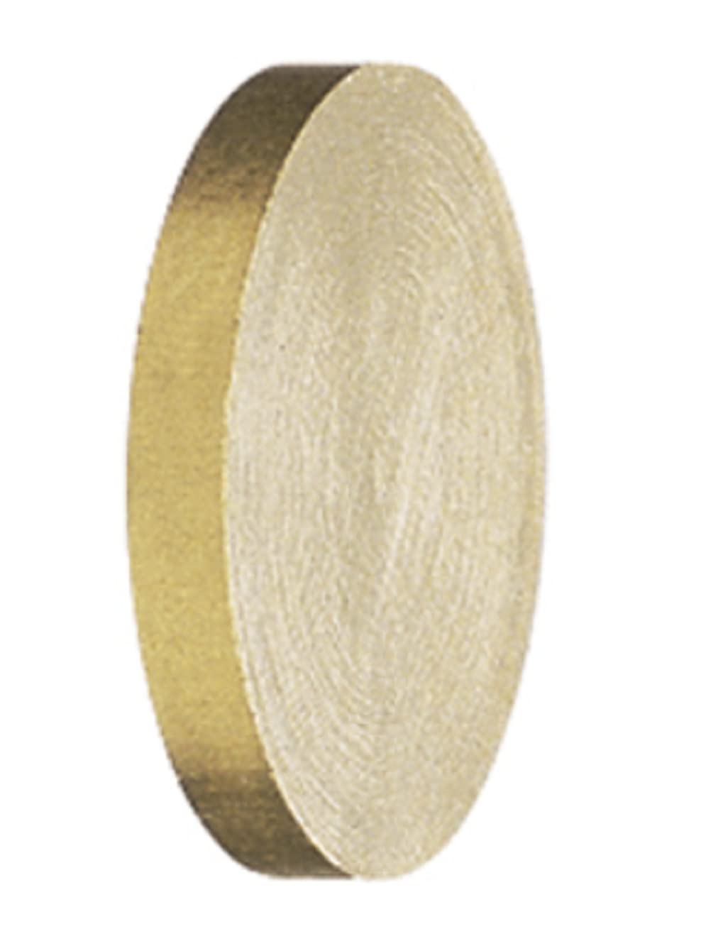 Spraying Systems CP3942 Brass TeeJet Plug Tip