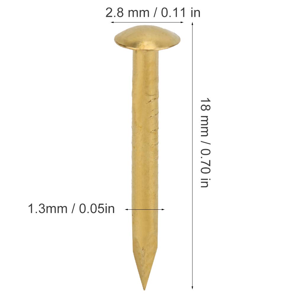 QANYEGN 100 Round Head Nails, Stainless Steel Nails, Vintage Brass Nails for Hanging Images DIY Craft Mounting Accessories(18mm)