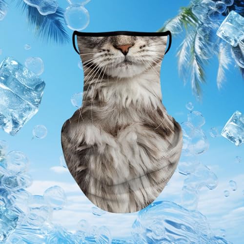Animal Pattern Neck Gaiter Face Cover with Ear Loops, Sun Protection Cooling Bandana for Outdoor Activities, 9.84x15.75inch- Style B3