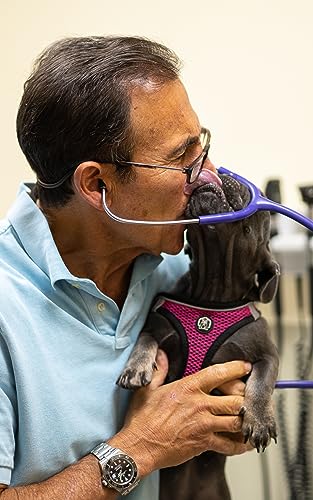 Image of Dr. Jeff Werber What Itch? Shampoo - Soothing and Soap Free Oatmeal Pet Shampoo for Itching, Flaking, and Irritation - Skin Care for Cats and Dogs of Different Breeds and Sizes - 16oz