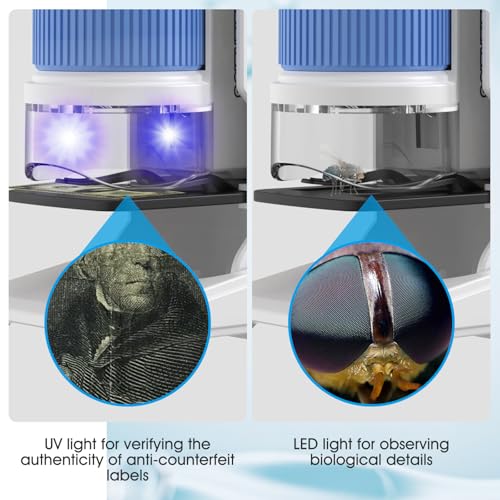 XWJ-GOL-0922 - Image 3