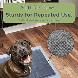 Eco-Friendly-Bamboo-Charcoal-Disposable-Pee-Pads-for-Dogs-Puppies-Natural-Maximum-Absorbency-Quick-Dry-Leak-Proof-Durable-Pads-Standard-50-Count - Cucciolini Doodles   Eco-Friendly-Bamboo-Charcoal-Disposable-Pee-Pads-for-Dogs-Puppies-Natural-Maximum-Absorbency-Quick-Dry-Leak-Proof-Durable-Pads-Standard-50-Count