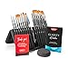 Daco Acrylic Paint Brushes Clarity, 15pcs+1 Paint Brush Set with Carry Case, Includes Painting Knife and Sponge - for Acrylic Paint, Watercolor Paint, Oil Paint, for Artists, Adults and Kids