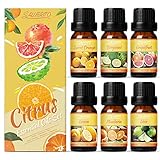 Salubrito Citrus Essential Oils Set for Diffuser, Fragrance Oil | Citrus Set of 6 - Sweet Orange, Be