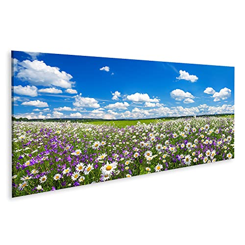 Tableau sur toile paysage de printemps et camomille blanche apaisante