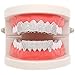 LuReen Diamond CZ Teeth Grillz Silver Grillz for Men Women + Extra 2 Molding Bars