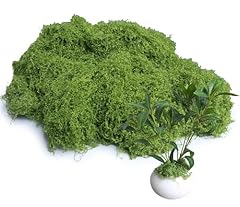 H:12.7oz Light Green