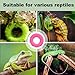 TUICARE 4 PCS Tree Frog Toy Tire Swing Habitat Miniature with 4 Suction Cup Hook Frog Tank Accessories Terrarium Decor Climbing Swing Reptile Amphibian Crustacean Climbing Toy (Pink)