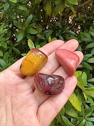 Image of GAF TREASURES 1 /2 LB Mookaite Tumbled Stones, Polished Mookaite Gemstone, Mookaite Healing Crystals (Mookaite)