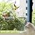 chunhai 2PCS Clear Bird Feeder for Window