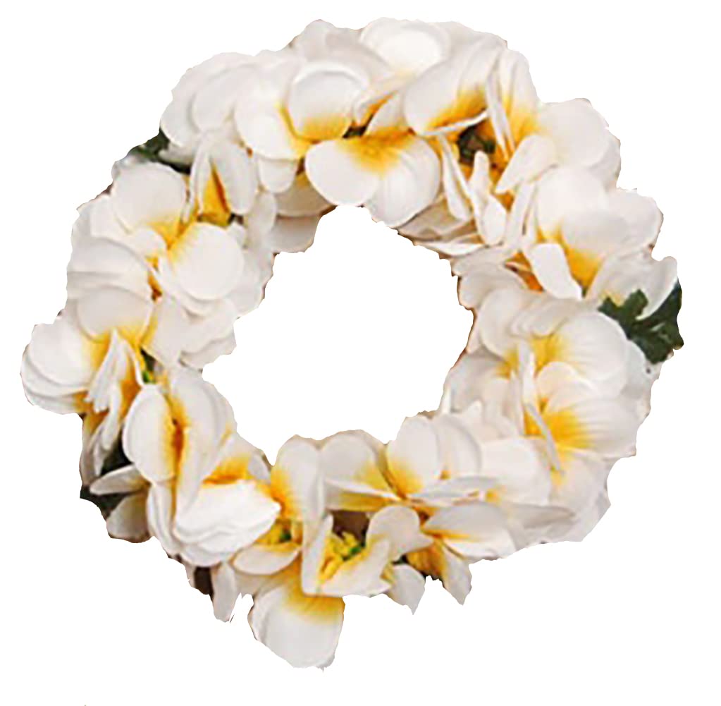 The Islander Group Aloha Hawaii Lei Plumeria Headband Assorted Colors Pack of 6