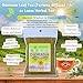 Damiana Leaf Te – 4 oz (113g) Loose Herbal Tea + Stainless Steel Tea Infuser – 100% Natural Turnera diffusa – Authentic Mexican Origin – Caffeine-Free, Non-GMO, Gluten-Free, Vegan By Bexpertsusa