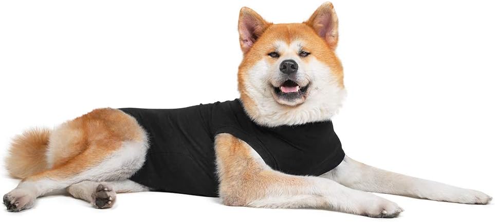 Suitical recovery suit near me Clearance