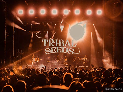 Tribal Seeds