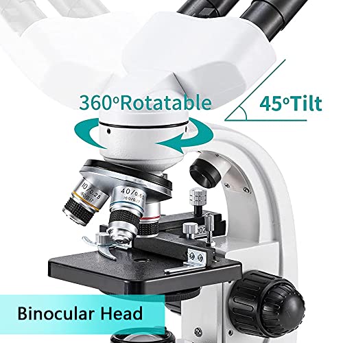Microscópio Binocular Composto 40X-1000X, Oculares WF10x e WF25x, Microscópio Binocular Composto De
