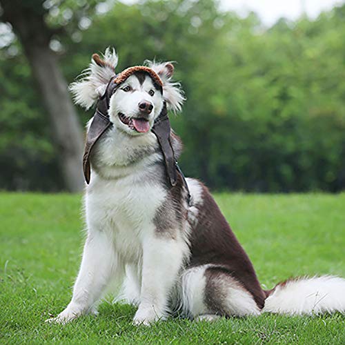 H87yC4ra Vintage Pet Dog Puppy Inverno Caldo